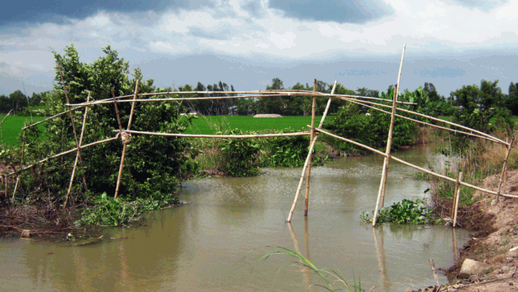 1. The Monkey Bridge, Vietnam - Most Dangerous Bridges in the World