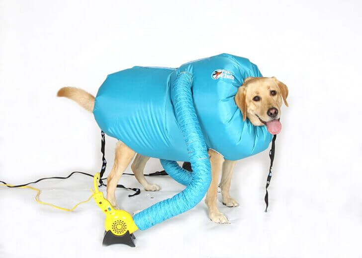 3. Doggie Dryer | Best Dumbest Inventions for Dogs
