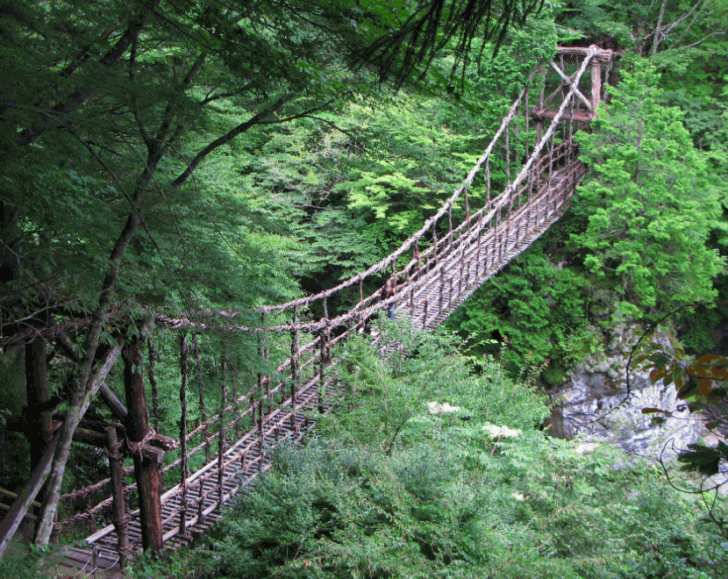 3. Vine Footpaths Aka Bridges, Japan
