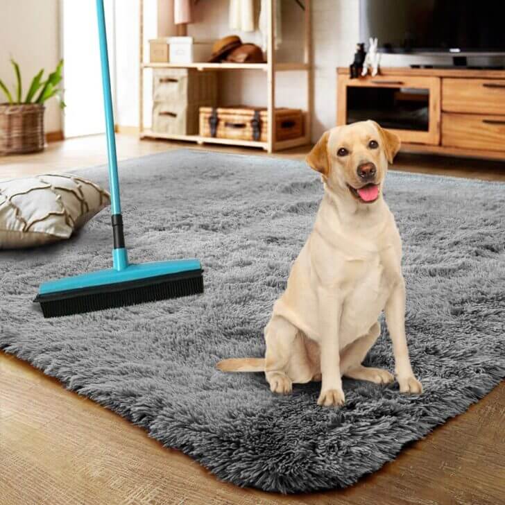 7. Doggie Broom