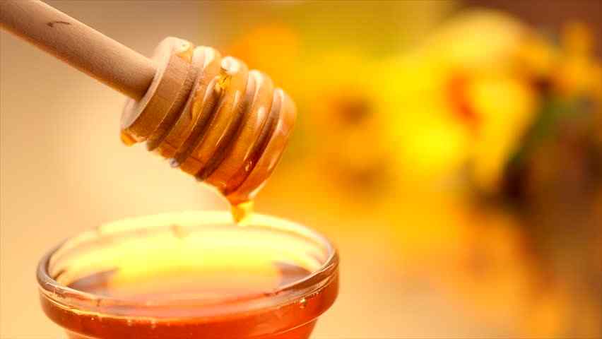 Best Women Perfumes with Honey