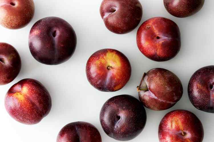 Best Plum Women Perfumes