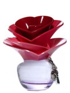 Someday by Justin Bieber