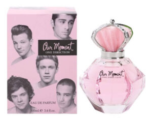 One Direction Our Moment