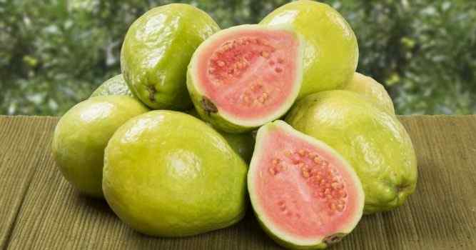 Best Guava Women Perfumes