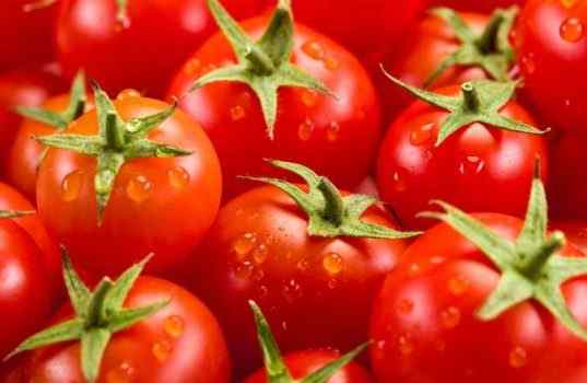 Best Tomato Women Perfumes