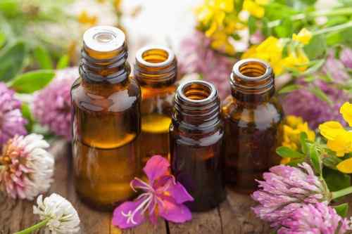 Best Essential Oils for Aromatherapy