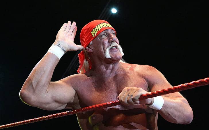 Hulk Hogan